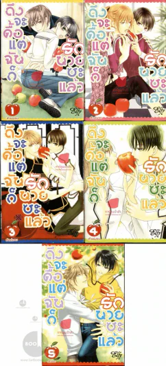 ถึงจะดื้อแต่ฉันก็รักนายซะแล้ว 5 เล่มจบ รูปที่ 1
