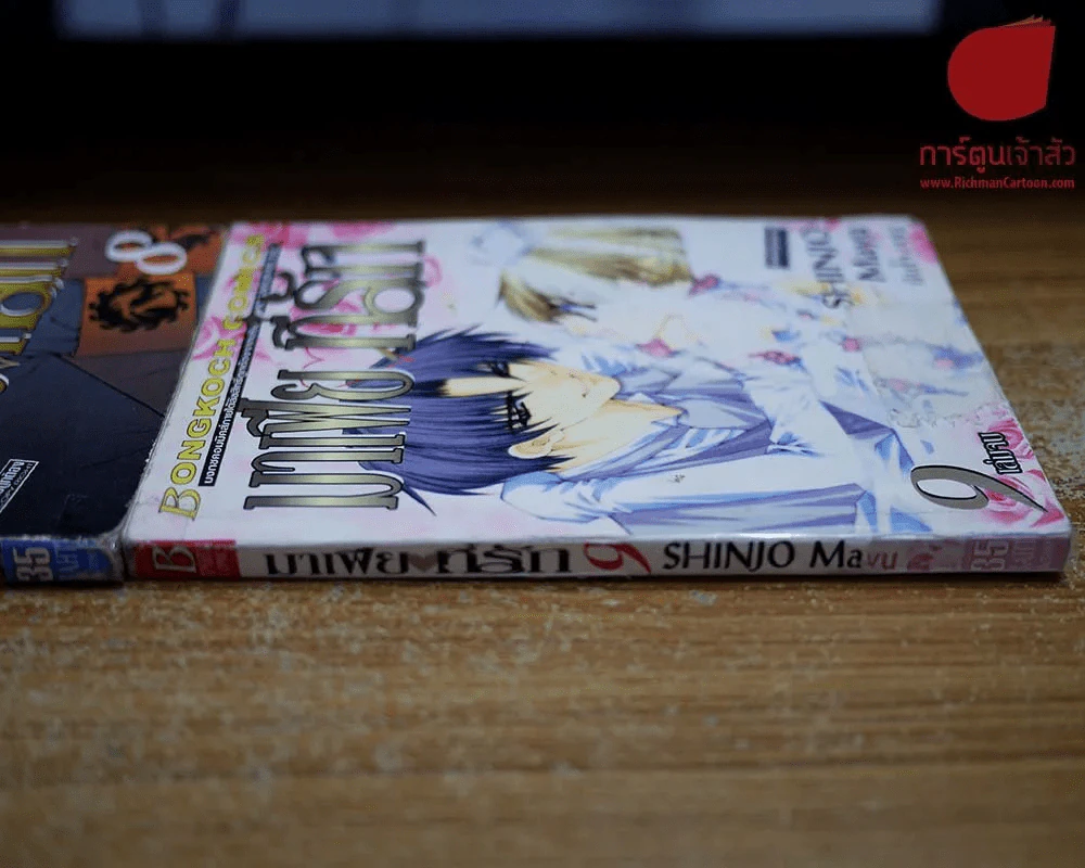 มาเฟียที่รัก 9 เล่มจบ รูปที่ 12