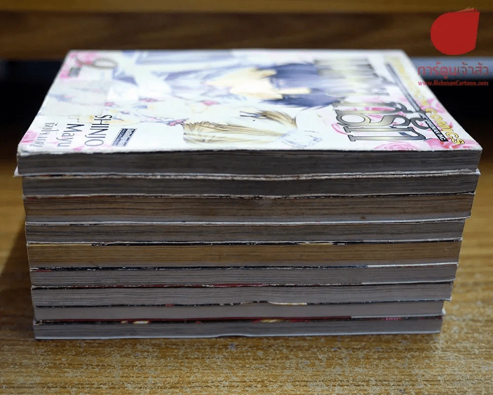 มาเฟียที่รัก 9 เล่มจบ รูปที่ 2