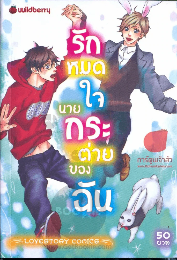 รักหมดใจนายกระต่ายของฉัน รูปที่ 1