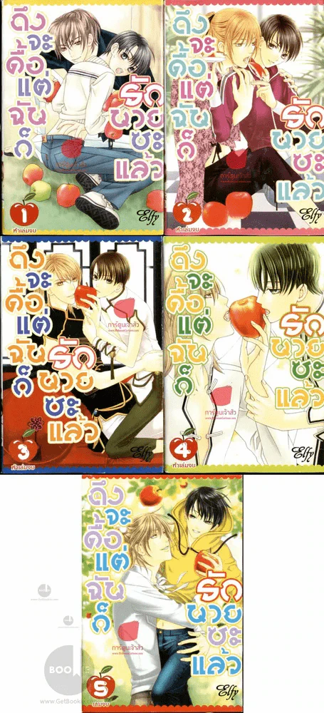 ถึงจะดื้อแต่ฉันก็รักนายซะแล้ว 5 เล่มจบ รูปที่ 1
