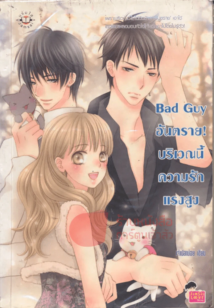 Bad Guy อันตราย บริเวณนี้ความรักแรงสูง รูปที่ 1