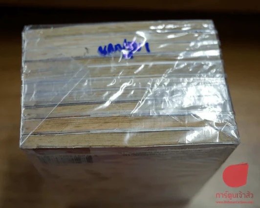 ข้ามภพมาพบรัก 10 เล่มจบ รูปที่ 4