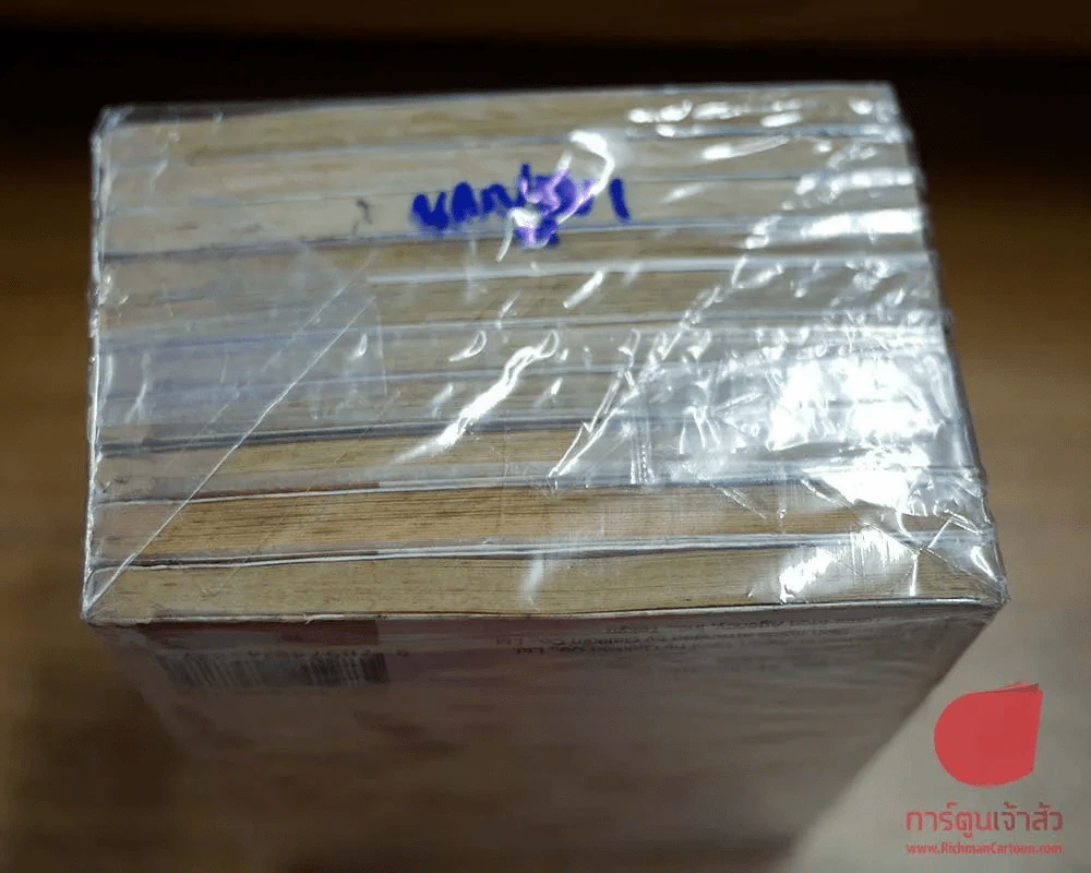 ข้ามภพมาพบรัก 10 เล่มจบ รูปที่ 4