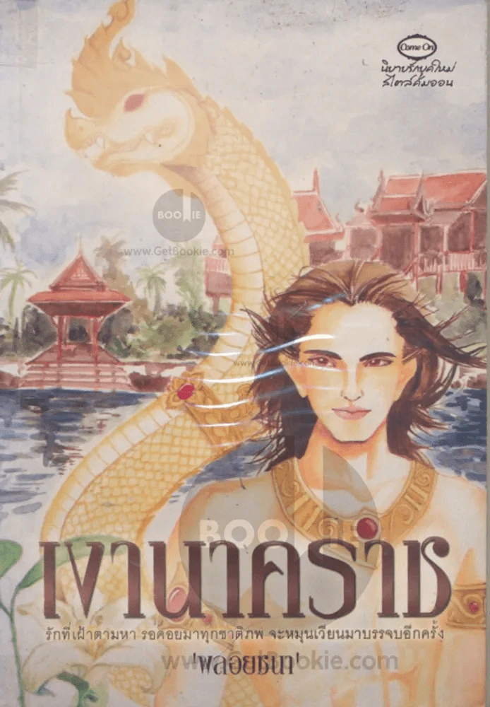 เงานาคราช รูปที่ 1