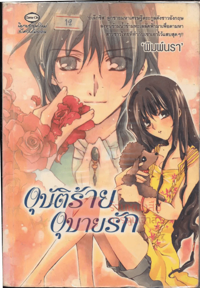 อุบัติร้ายอุบายรัก รูปที่ 1