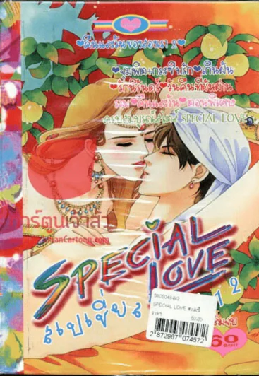 Special Love สเปเชี่ยลเลิฟ 12 คืนและวันของสองเรา เล่ม 2 (เล่มจบ) รูปที่ 1