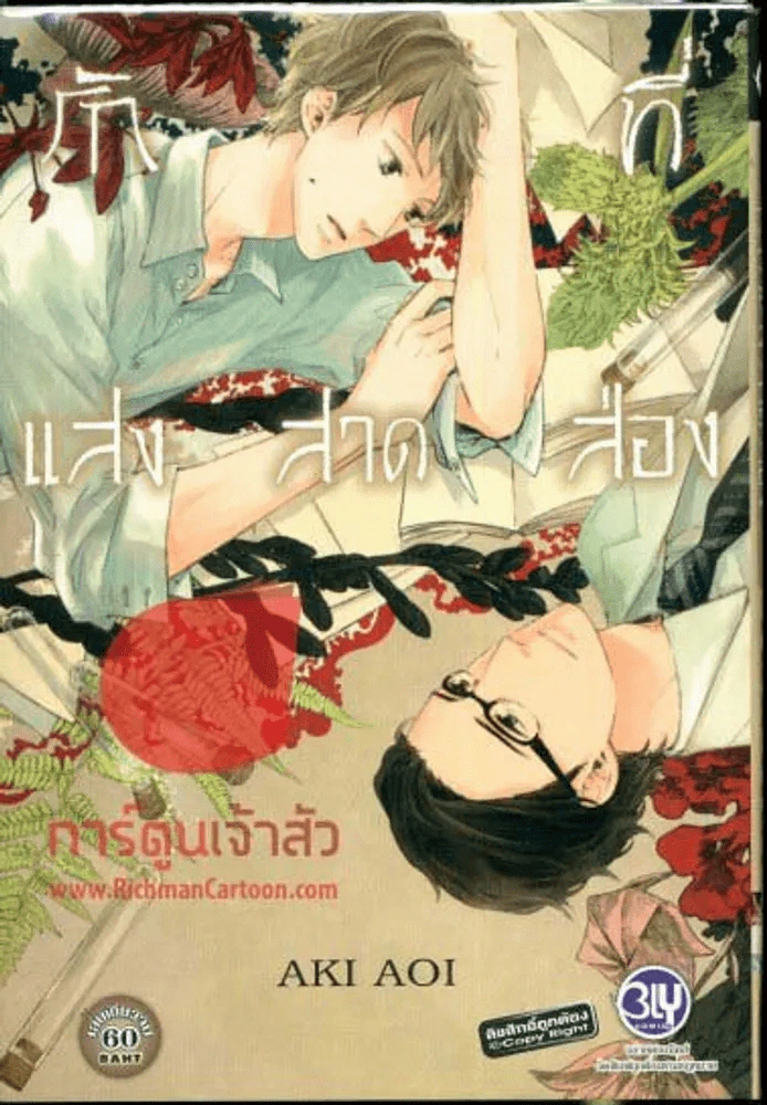 รักที่แสงสาดส่อง รูปที่ 1