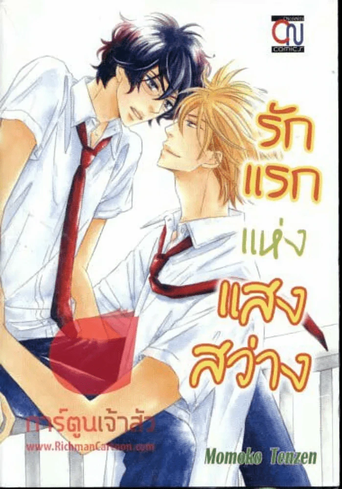 รักแรกแห่งแสงสว่าง รูปที่ 1