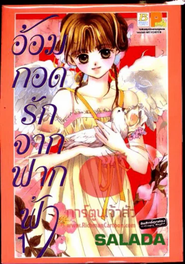 อ้อมกอดรักจากฟากฟ้า เล่ม 1 รูปที่ 1