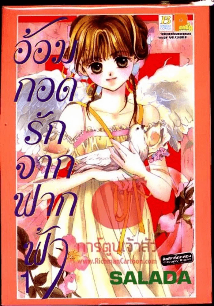 อ้อมกอดรักจากฟากฟ้า เล่ม 1 รูปที่ 1