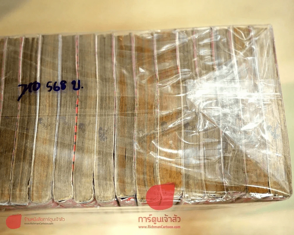 จินมี่ยอดยุทธหมัดเหล็ก 20 เล่มจบ (ภาค 2) รูปที่ 6