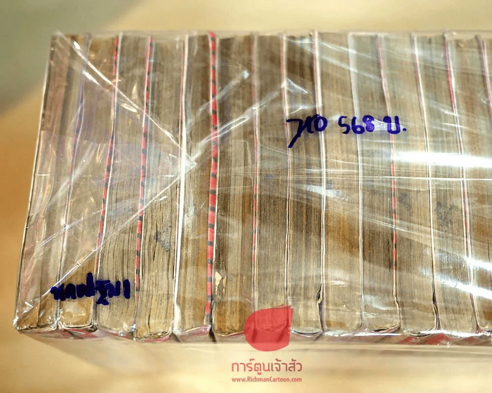 จินมี่ยอดยุทธหมัดเหล็ก 20 เล่มจบ (ภาค 2) รูปที่ 3
