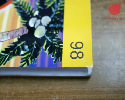 a day 98 ขายหัวเราะ รูปที่ 4