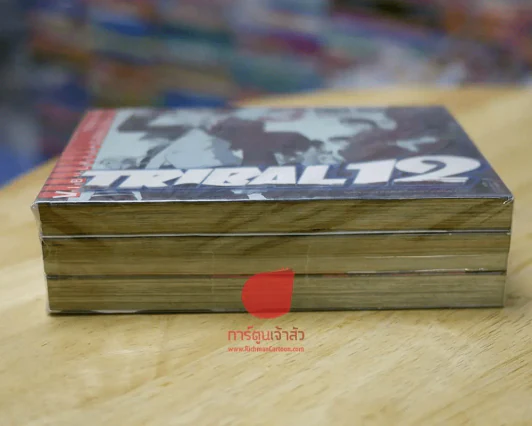 Tribal 12 3 เล่มจบ รูปที่ 3