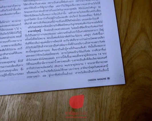 จันทร์ ปีที่ 8 ฉบับที่ 93 มิถุนายน 2538 (เนื้อหาหายไป 13 แผ่น) รูปที่ 4