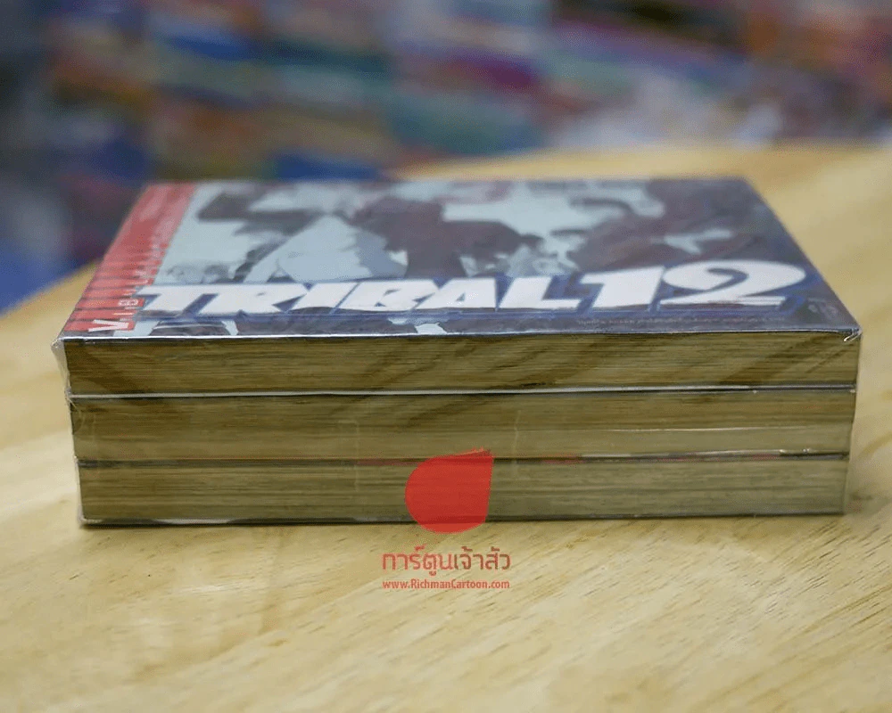 Tribal 12 3 เล่มจบ รูปที่ 3