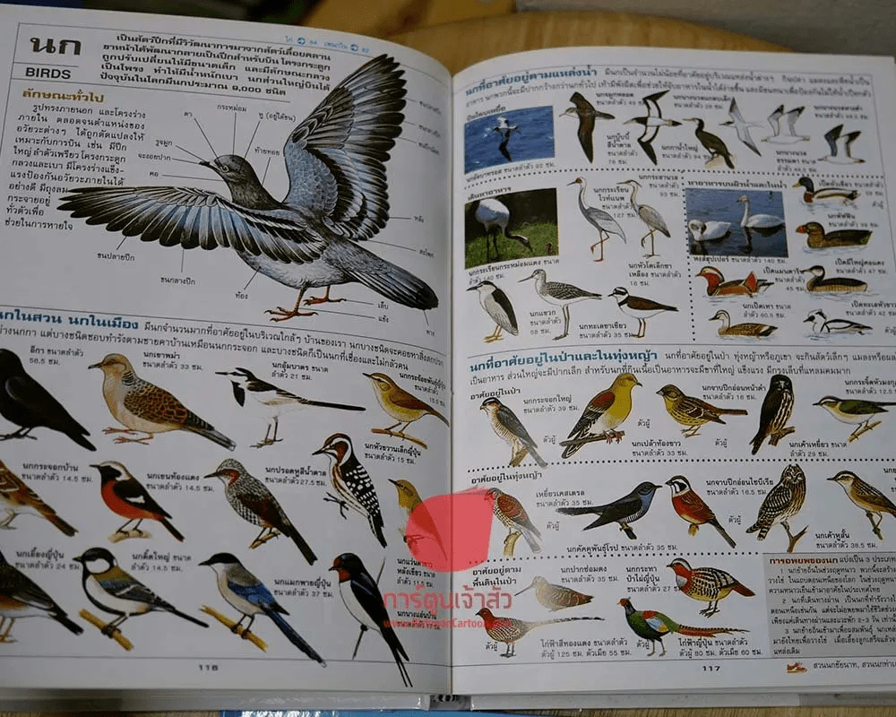 สารารุกรมเพื่ออนาคตสู่โลกแห่งศตวรรษที่ 21 เปิดโลกกว้าง รูปที่ 4