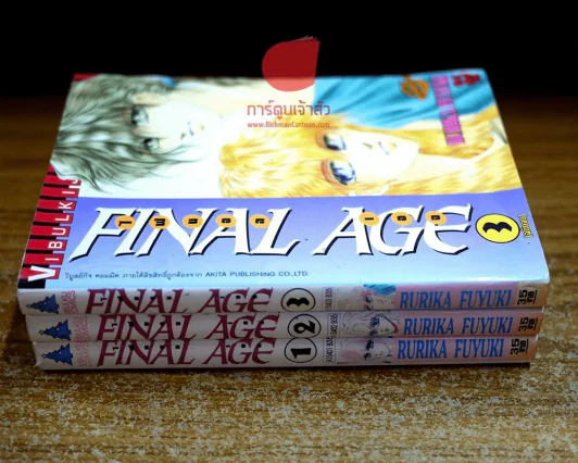 Final Age ไฟนอล เอจ 3 เล่มจบ รูปที่ 2