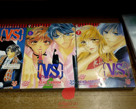 VS ชีวิตบนเส้นลวด 7 เล่มจบ รูปที่ 5