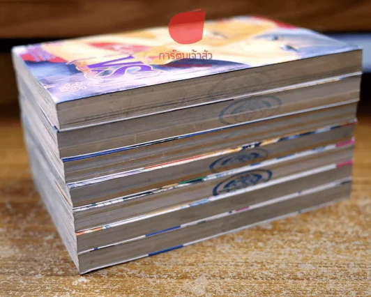 VS ชีวิตบนเส้นลวด 7 เล่มจบ รูปที่ 2