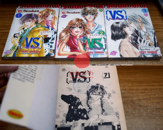 VS ชีวิตบนเส้นลวด 7 เล่มจบ รูปที่ 3