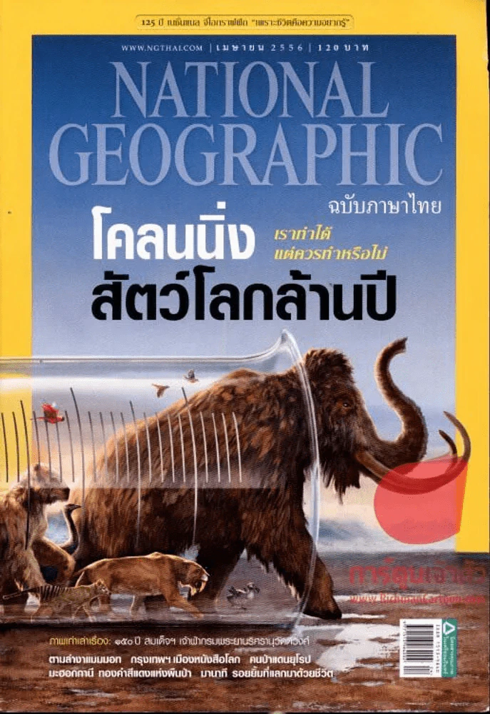 National Geographic เมษายน 2556 โคลนนิ่งสัตว์โลกล้านปี รูปที่ 1