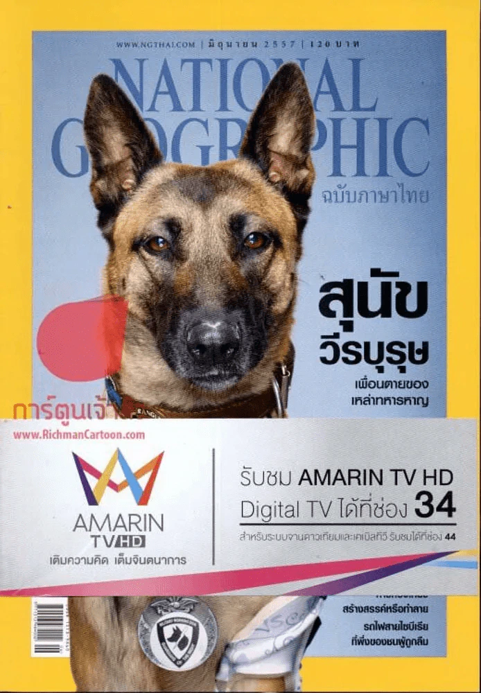 National Geographic มิถุนายน 2557 สุนัขวีรบุรุษ รูปที่ 1
