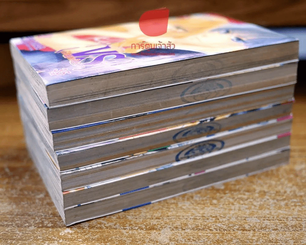 VS ชีวิตบนเส้นลวด 7 เล่มจบ รูปที่ 2