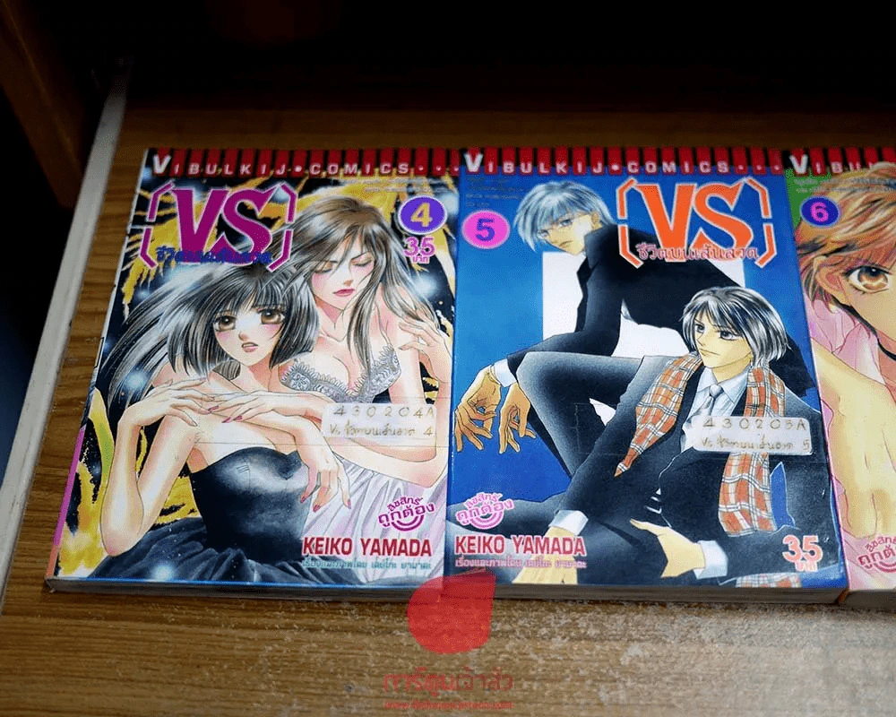 VS ชีวิตบนเส้นลวด 7 เล่มจบ รูปที่ 4