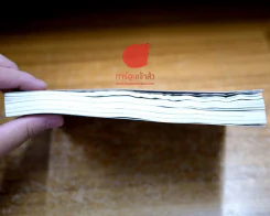 อายุบวร ศรีลังกา รูปที่ 2