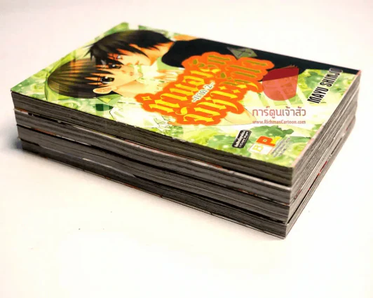 ทำนองรักจังหวะหัวใจ ภาค 2 เล่ม 1-4 (5 เล่มจบ) รูปที่ 3