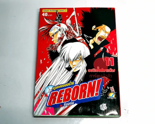 ครูพิเศษจอมป่วน รีบอร์น Reborn! เล่ม 11 รูปที่ 1