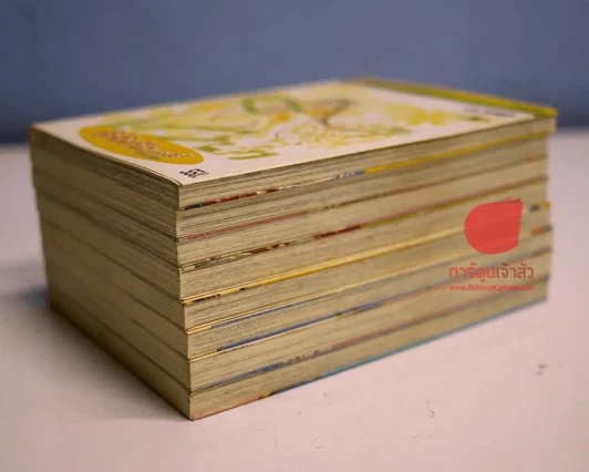 ดิจิทัลเลดี้ ChoBits 8 เล่มจบ Clamp + Boxset สวยงาม รูปที่ 3