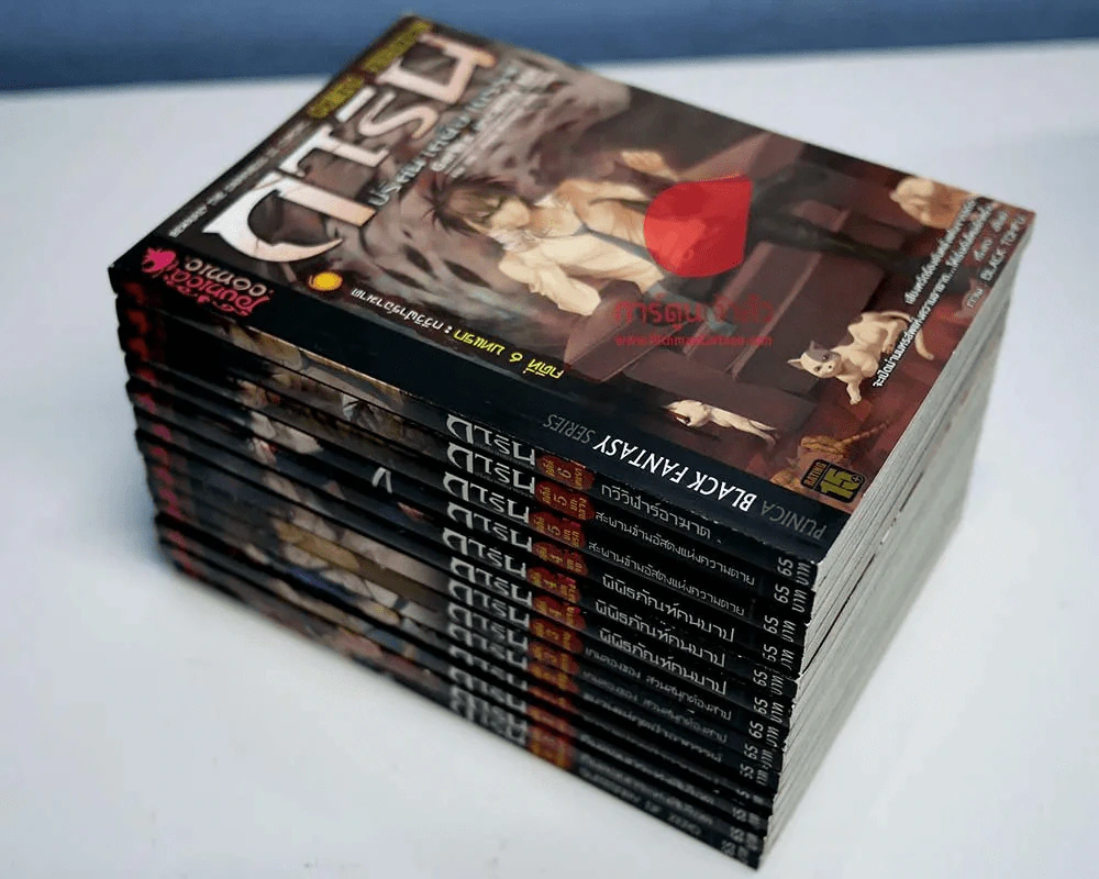 การิน ปริศนาคดีอาถรรพ์ 13 เล่ม รูปที่ 1