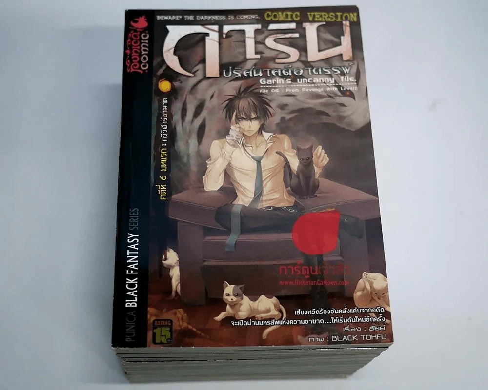 การิน ปริศนาคดีอาถรรพ์ 13 เล่ม รูปที่ 3