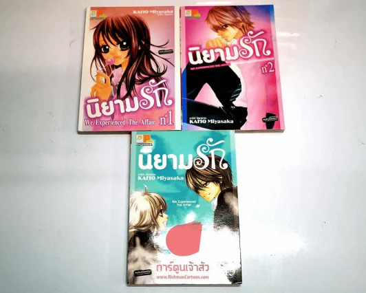 นิยามรัก เล่ม 1-3 (14 เล่มจบ) รูปที่ 1