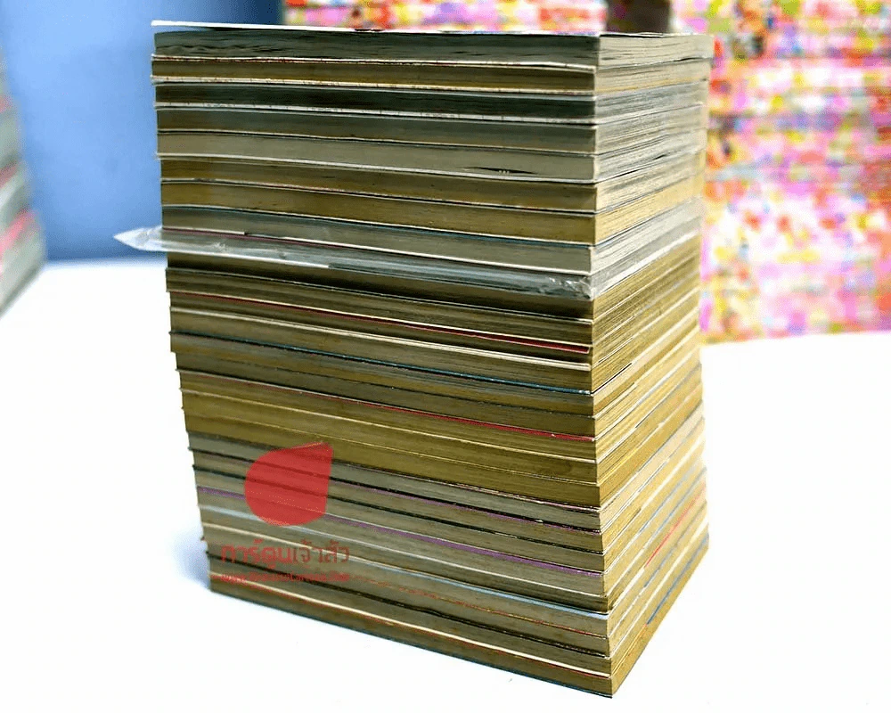 ฮันเตอร์ X ฮันเตอร์ Hunter X Hunter เล่ม 1-27 รูปที่ 4