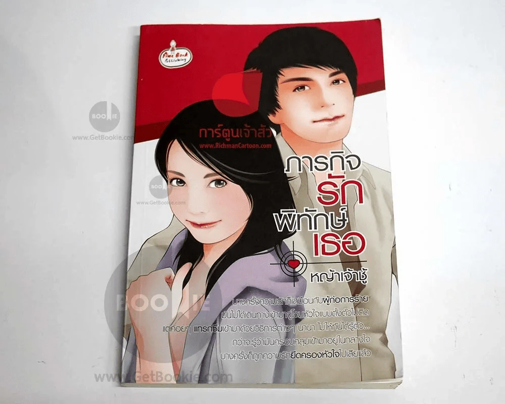 ภารกิจรักพิทักษ์เธอ รูปที่ 2