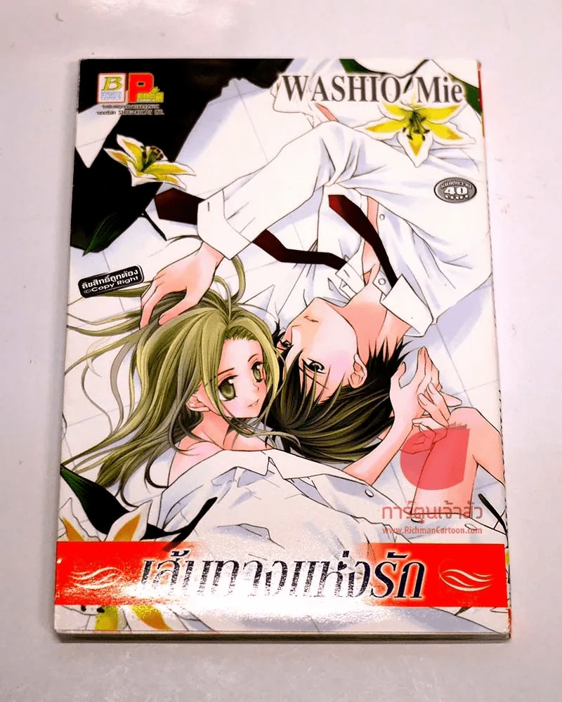 เส้นทางแห่งรัก  Washio Mie รูปที่ 1