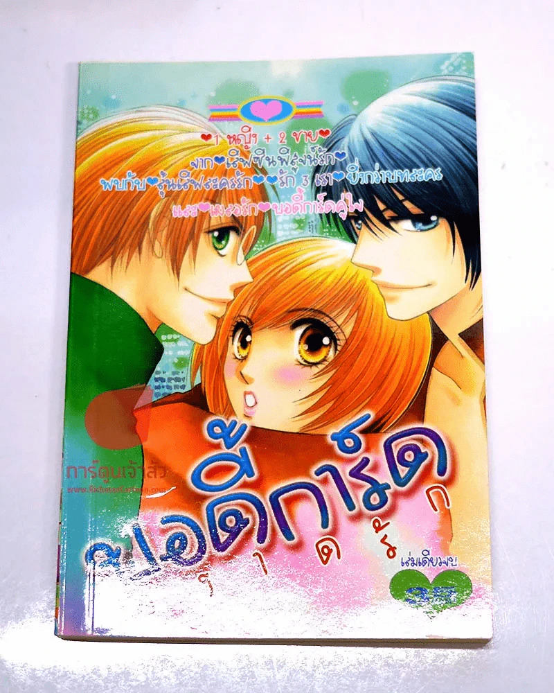 บอดี้การ์ดผงาดรัก รูปที่ 1