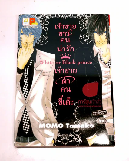 White or black prince เจ้าชายขาวคนน่ารักเจ้าชายดำคนขี้เต๊ะ รูปที่ 1