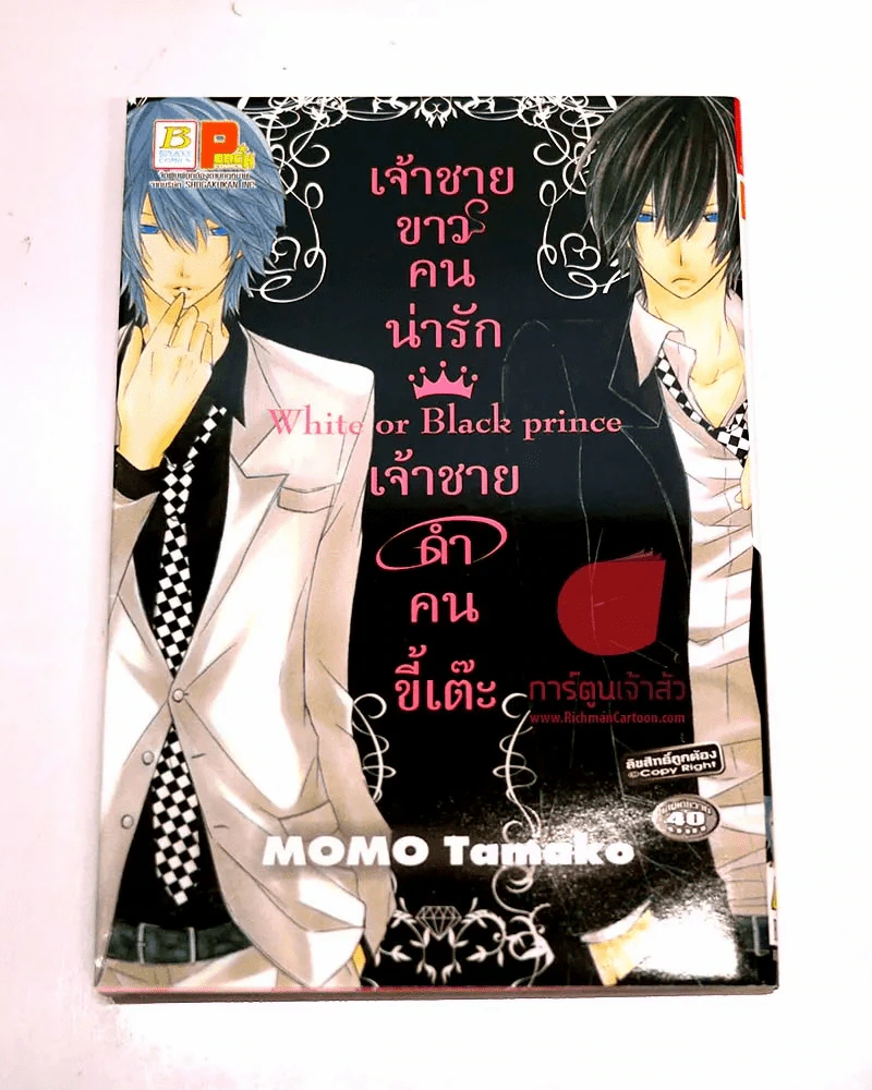 White or black prince เจ้าชายขาวคนน่ารักเจ้าชายดำคนขี้เต๊ะ รูปที่ 1