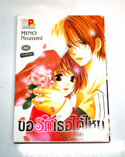 ขอรักเธอได้ไหม รูปที่ 1
