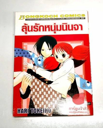 ลุ้นรักหนุ่มนินจา รูปที่ 1