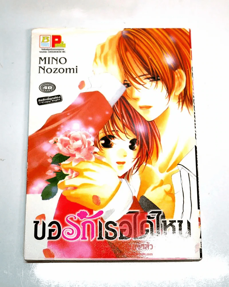 ขอรักเธอได้ไหม รูปที่ 1