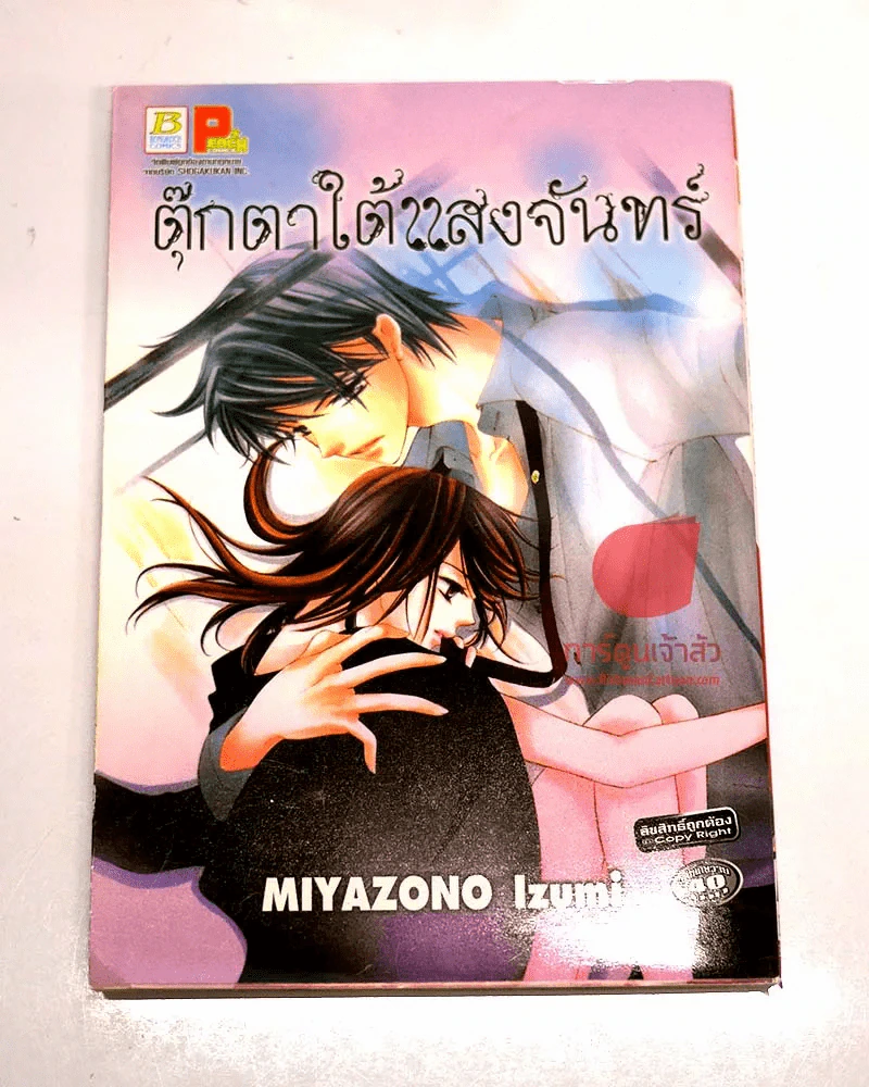 ตุ๊กตาใต้แสงจันทร์ รูปที่ 1