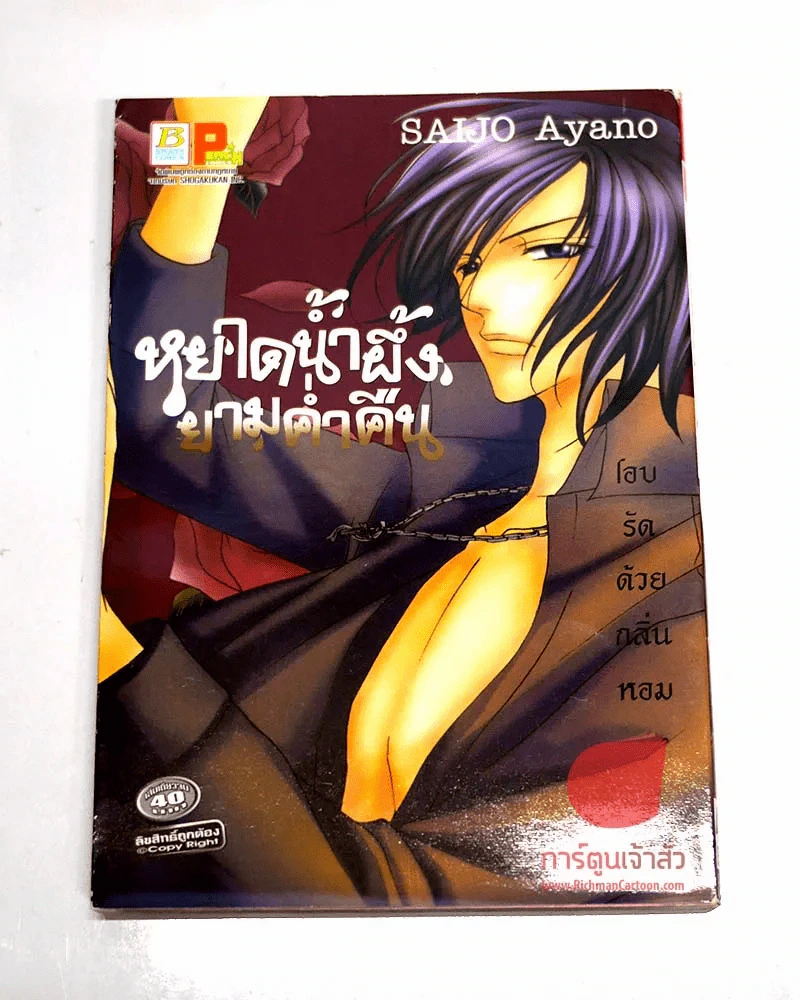 หยาดน้ำผึ้งยามค่ำคืน รูปที่ 1