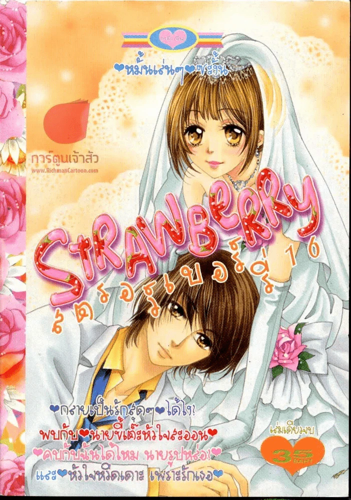 Strawberry สตรอเบอร์รี่ 16 รูปที่ 1