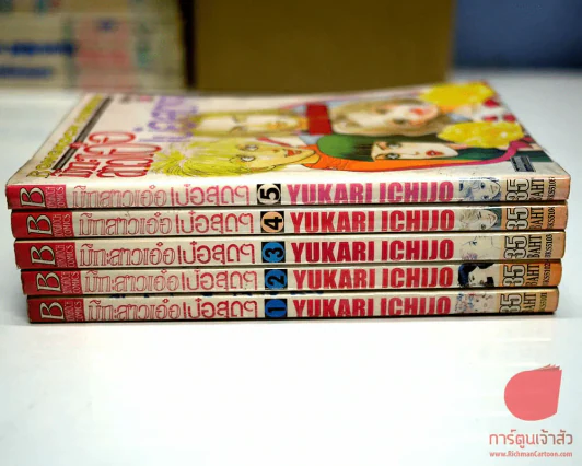 มิกะสาวเอ๋อเป๋อสุดๆ 5 เล่มจบ รูปที่ 3